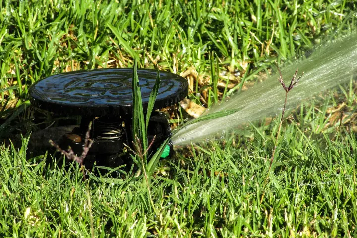 Venta de tierra y mantillo para jardines y mantenimiento de jardinería en Madrid - Ricotrebol - ¿Con qué frecuencia debo regar el jardín en verano?