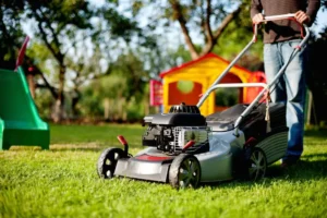 Venta de tierra y mantillo para jardines y mantenimiento de jardinería en Madrid - Ricotrebol - ¿Cómo cuidar mi césped antes del otoño para mantenerlo sano y preparado para el invierno?