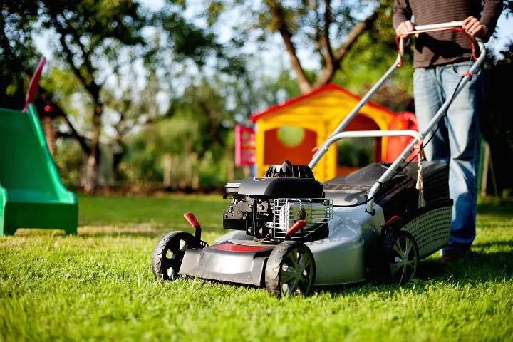 Venta de tierra y mantillo para jardines y mantenimiento de jardinería en Madrid - Ricotrebol - ¿Cómo cuidar mi césped antes del otoño para mantenerlo sano y preparado para el invierno?