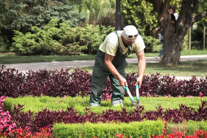Venta de tierra y mantillo para jardines y mantenimiento de jardinería en Madrid - Ricotrebol - ¿Cuales son las tareas de mantenimiento del jardín en noviembre?