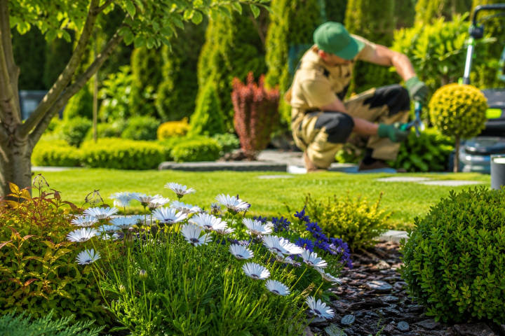 Venta de tierra y mantillo para jardines y mantenimiento de jardinería en Madrid - Ricotrebol - Puesta a punto y mantenimiento de jardines en Madrid en primavera