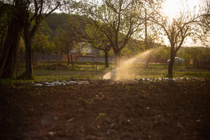 Venta de tierra y mantillo para jardines y mantenimiento de jardinería en Madrid - Ricotrebol - Sistema de riego automático: cómo mantener tu jardín verde en Madrid sin desperdiciar agua