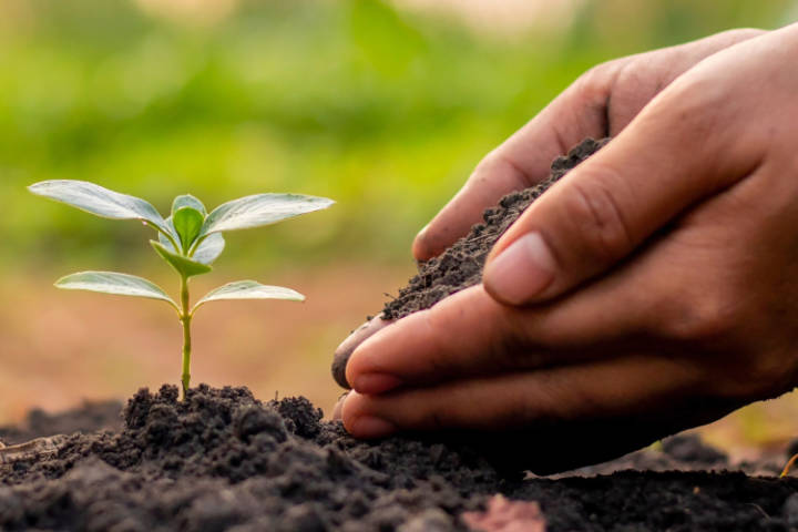 Venta de tierra y mantillo para jardines y mantenimiento de jardinería en Madrid - Ricotrebol - Comprar tierra para jardín a granel: cómo elegirla y calcular cuánto necesitas